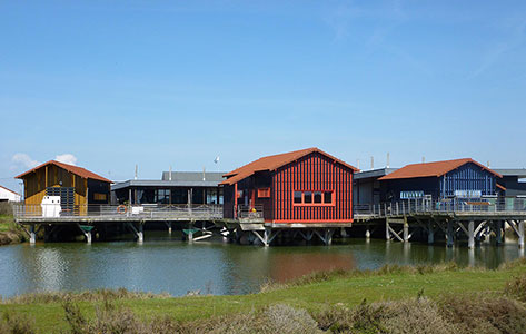 Citée de l'huître